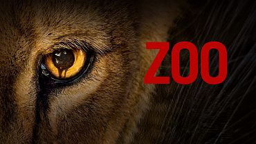 Zoo Tv series poster